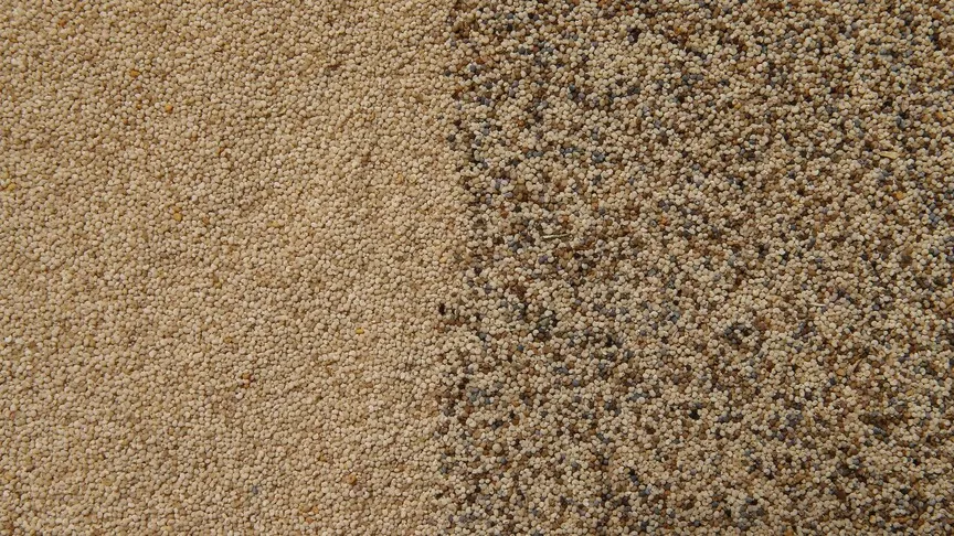 Toprak Mahsulleri Ofisi kilogramı 140 liradan haşhaş tohumu alacak